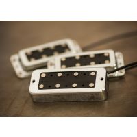 Seymour Duncan Lemmy Kilmister set manche / chevalet, direct mount, nickel - Vue 1